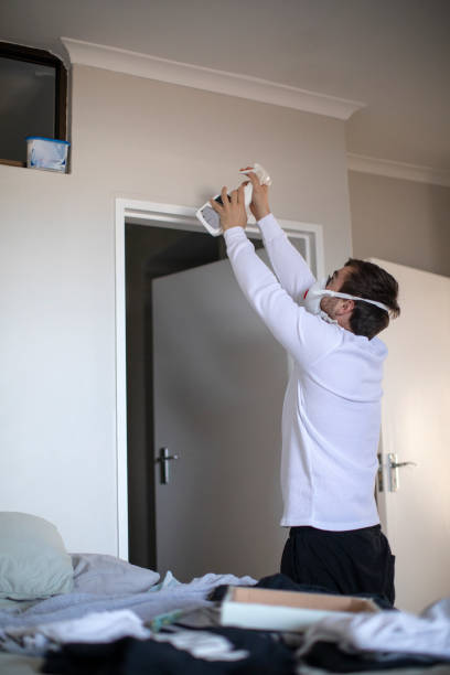 Best Mold Remediation for Healthcare Facilities  in Troy, NY