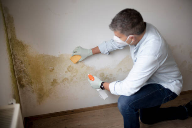 Best Post-Remediation Verification Testing  in Troy, NY