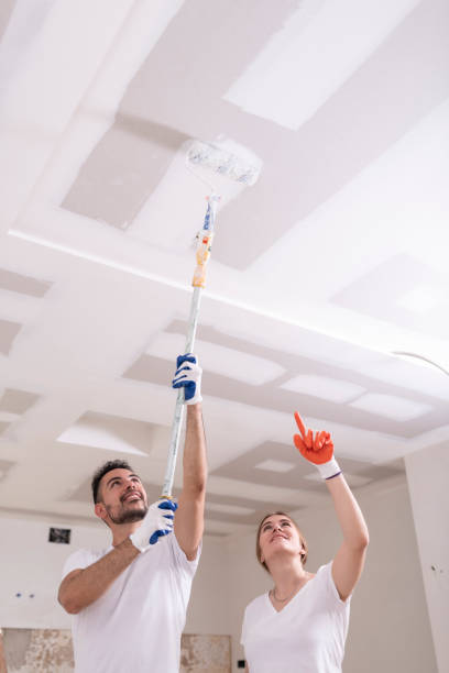 Best Mold Damage Restoration  in Troy, NY