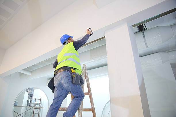 Best Industrial Mold Remediation  in Troy, NY